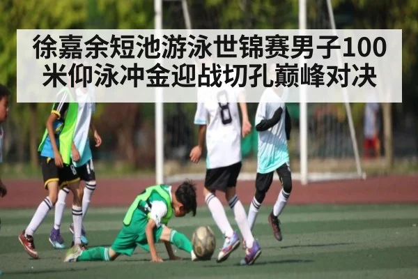 徐嘉余短池游泳世锦赛男子100米仰泳冲金迎战切孔巅峰对决